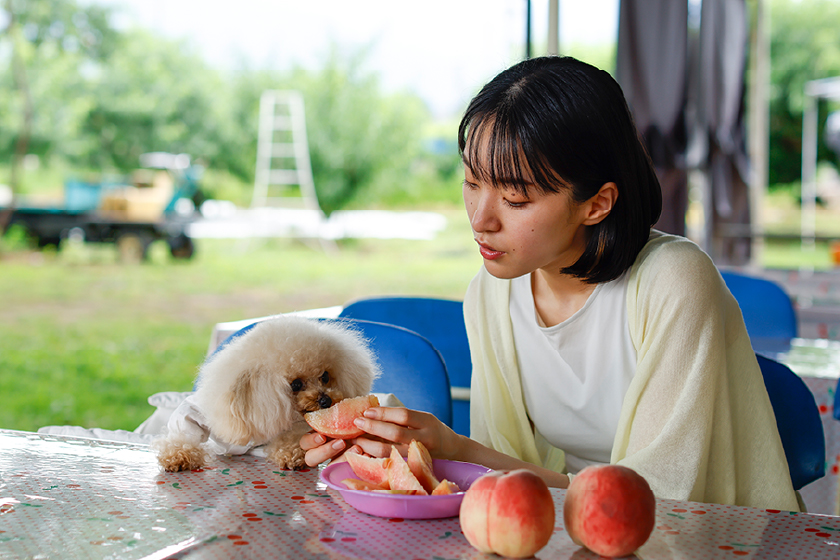 宿泊者専用のドッグラン